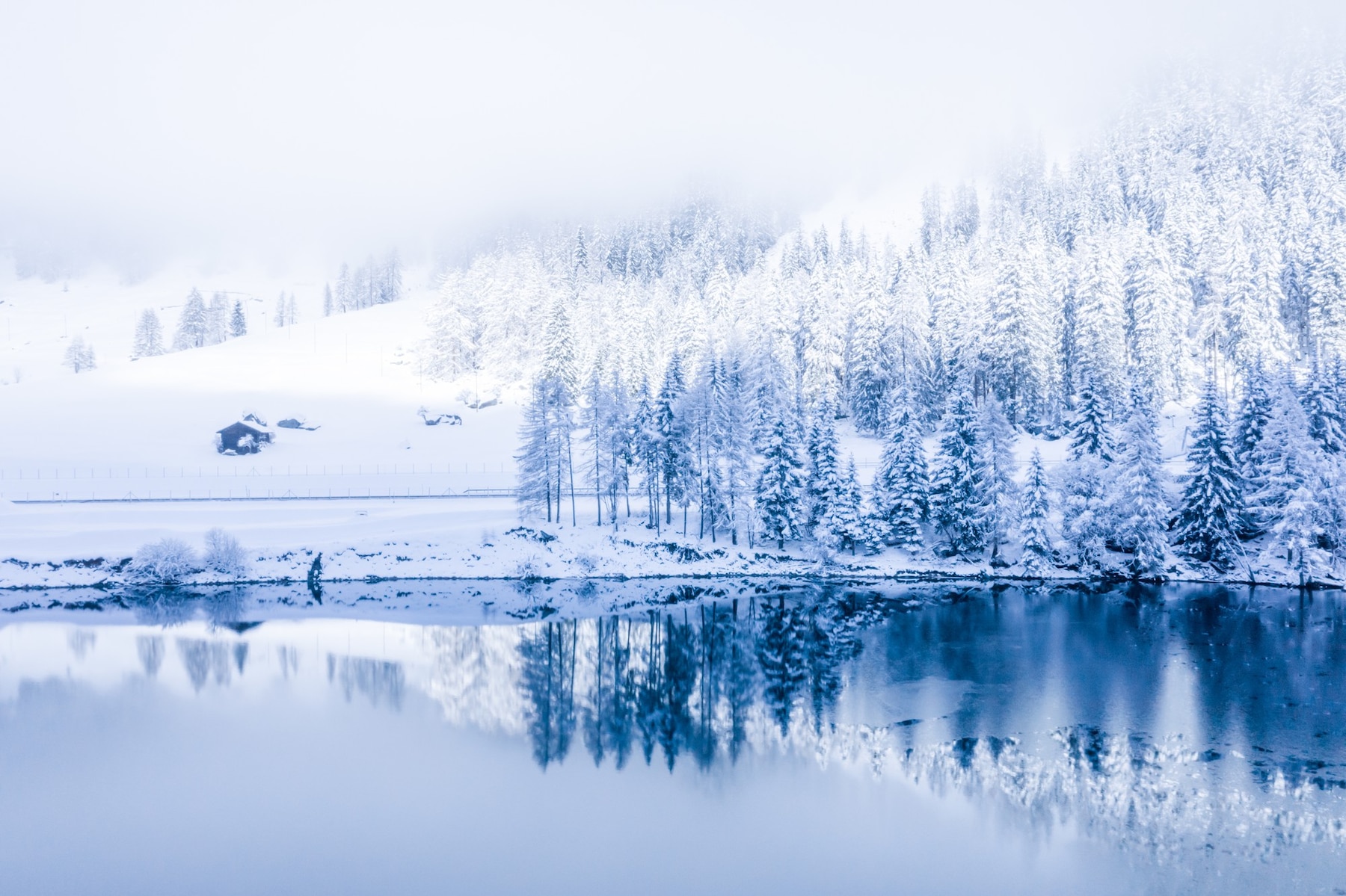 magical-switzerland-winter-lake-center-alps-surrounded-by-forest-covered-by-snow_181624-29283