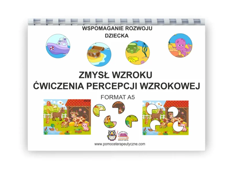 Zmysł wzroku. Ćwiczenia percepcji wzrokowej PDF
